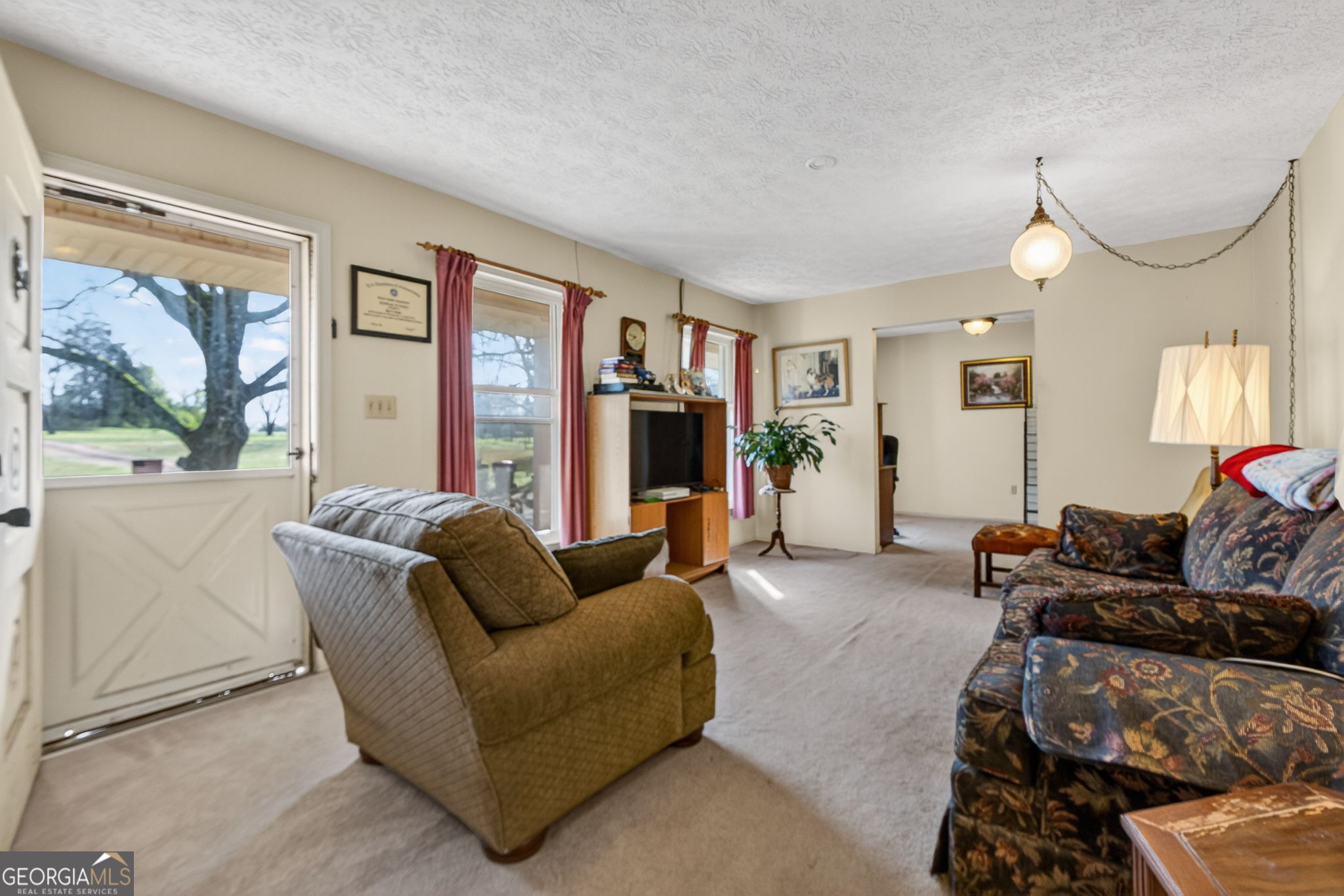 2411 Williamson Zebulon Road Williamson, GA 30292 - Photo 6 of 46