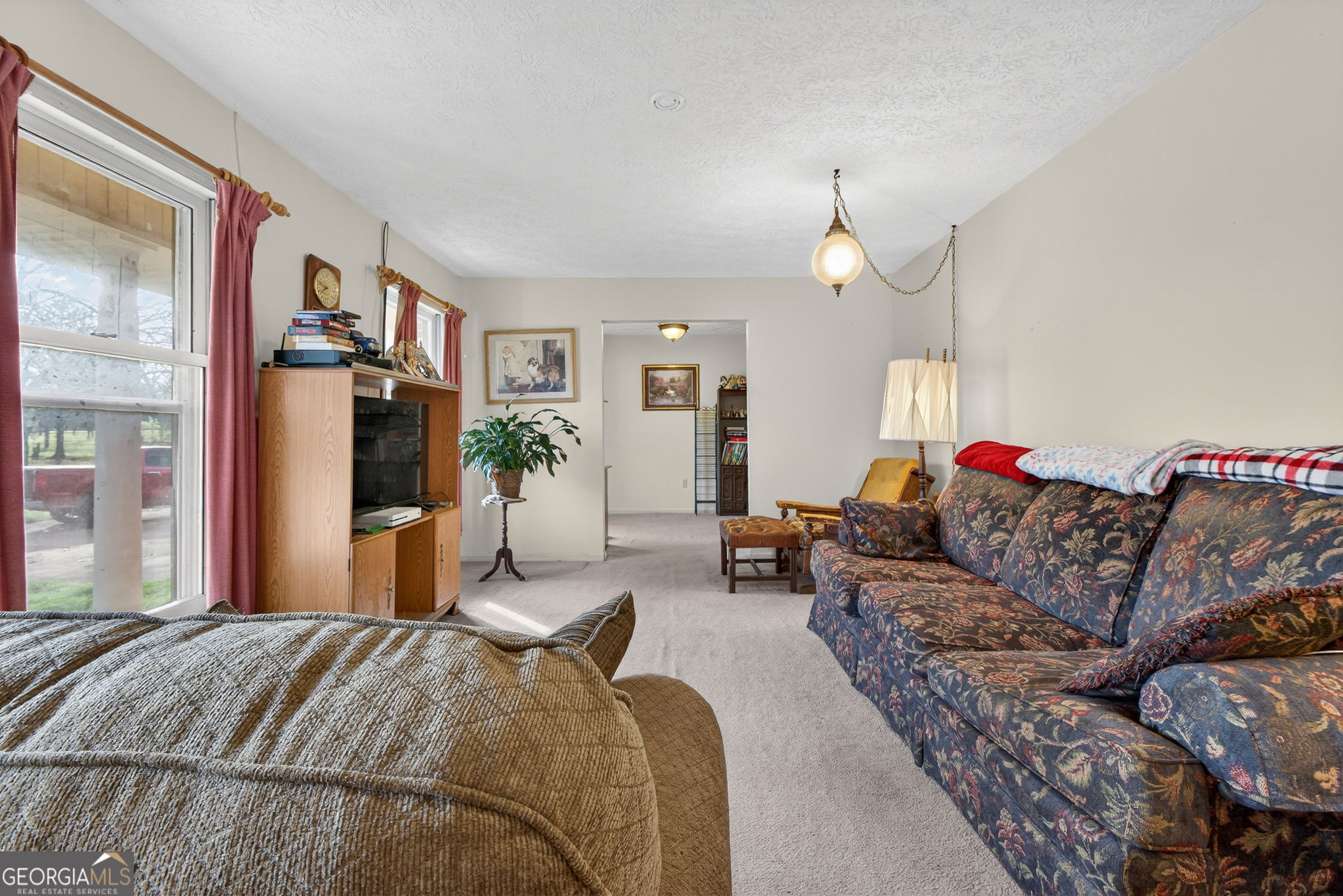 2411 Williamson Zebulon Road Williamson, GA 30292 - Photo 7 of 46