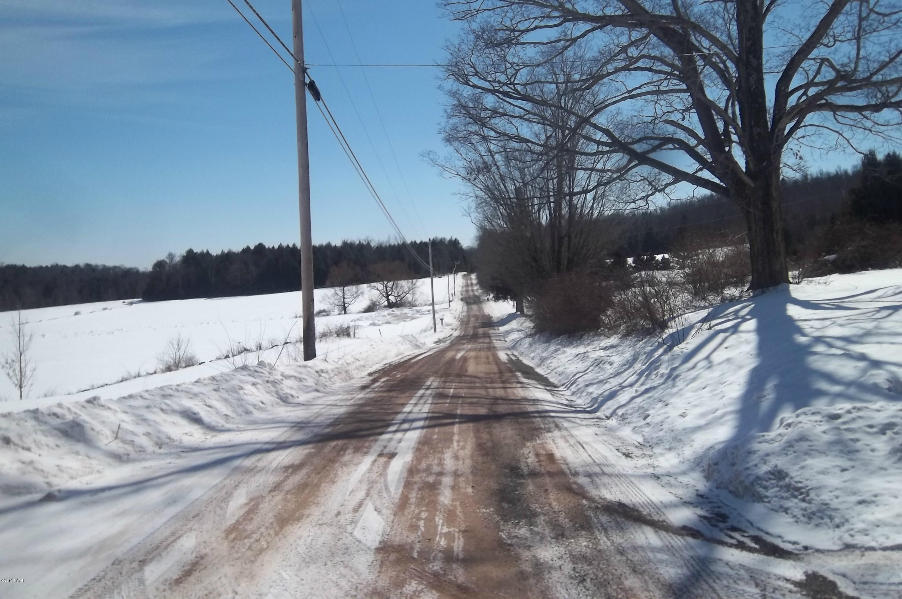 217 Canfield Road Tyler Hill, PA 18469 - Photo 3 of 10