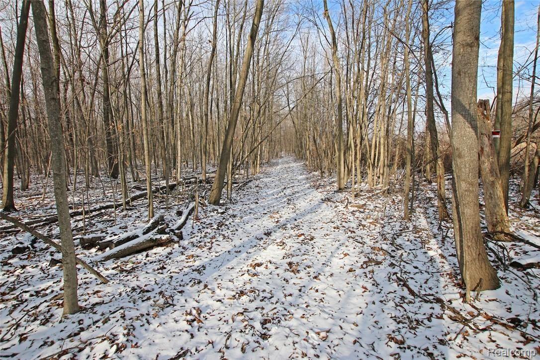 12254 Hill Road Goodrich, MI 48438 - Photo 49 of 52 49) Woods Trail.jpg