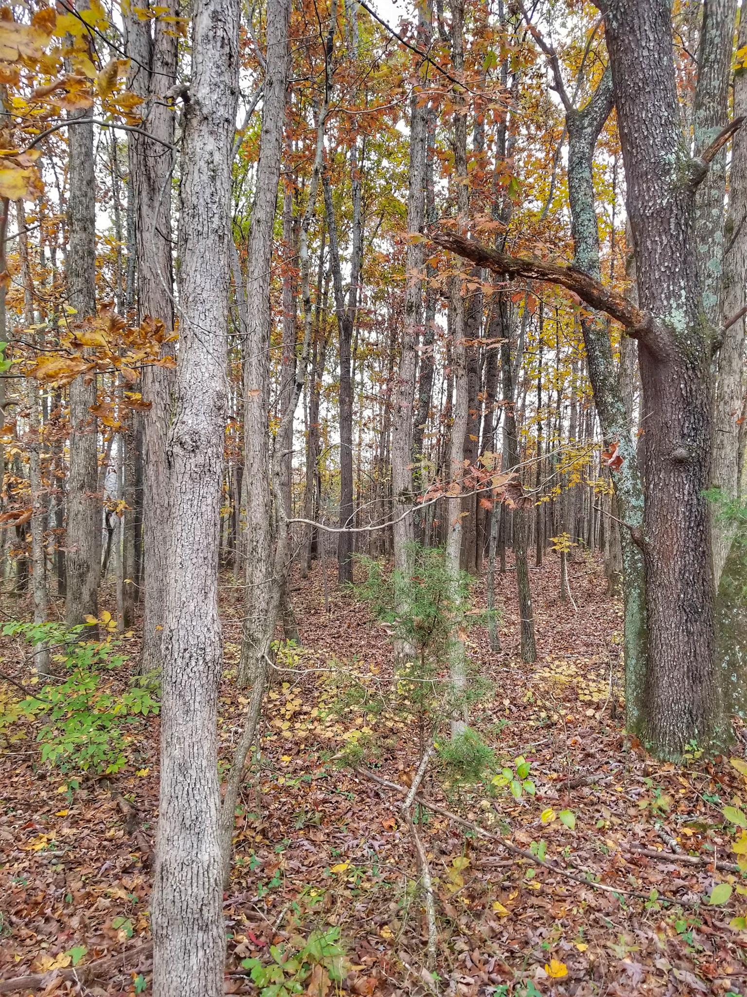 3139 Normandy Road, Unit 312 Normandy, TN 37360 - Photo 13 of 17