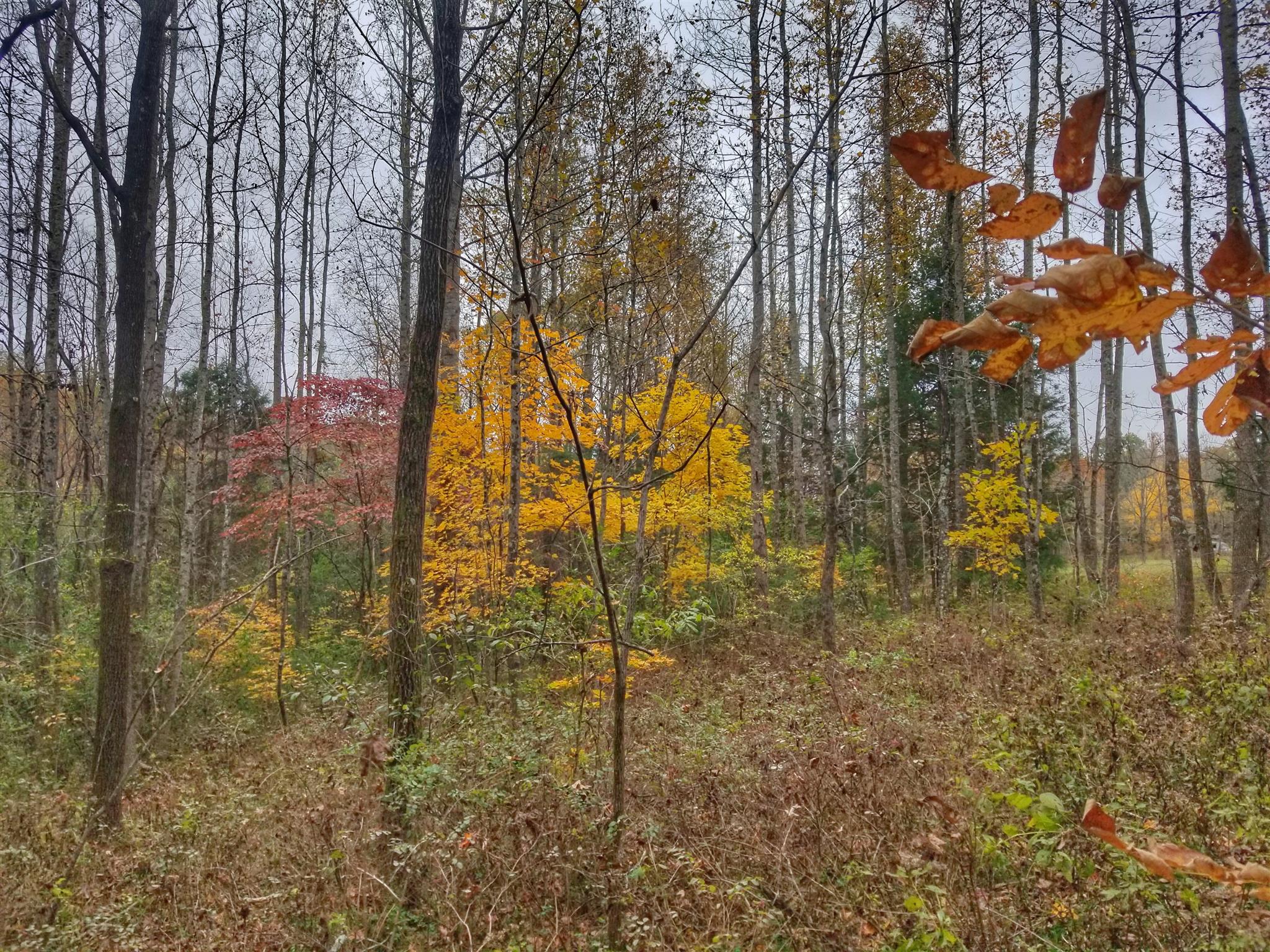 3139 Normandy Road, Unit 312 Normandy, TN 37360 - Photo 2 of 17 a view of a garden