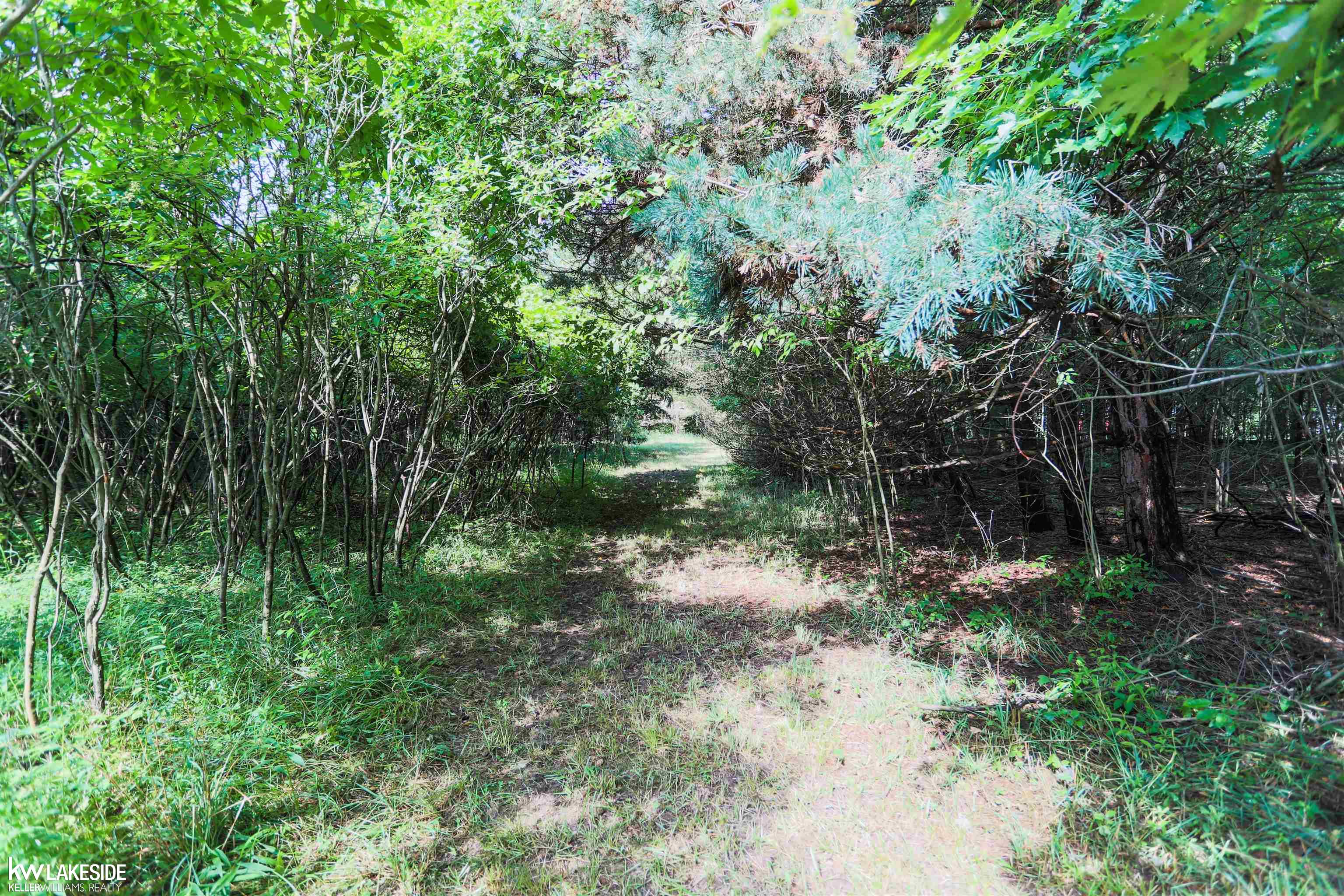 80700 Coon Creek Road Armada, MI 48005 - Photo 33 of 67 50085808-32.JPG
