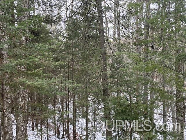 545 South Rd Skandia Mi 49885 Road Skandia, MI 49885 - Photo 23 of 38