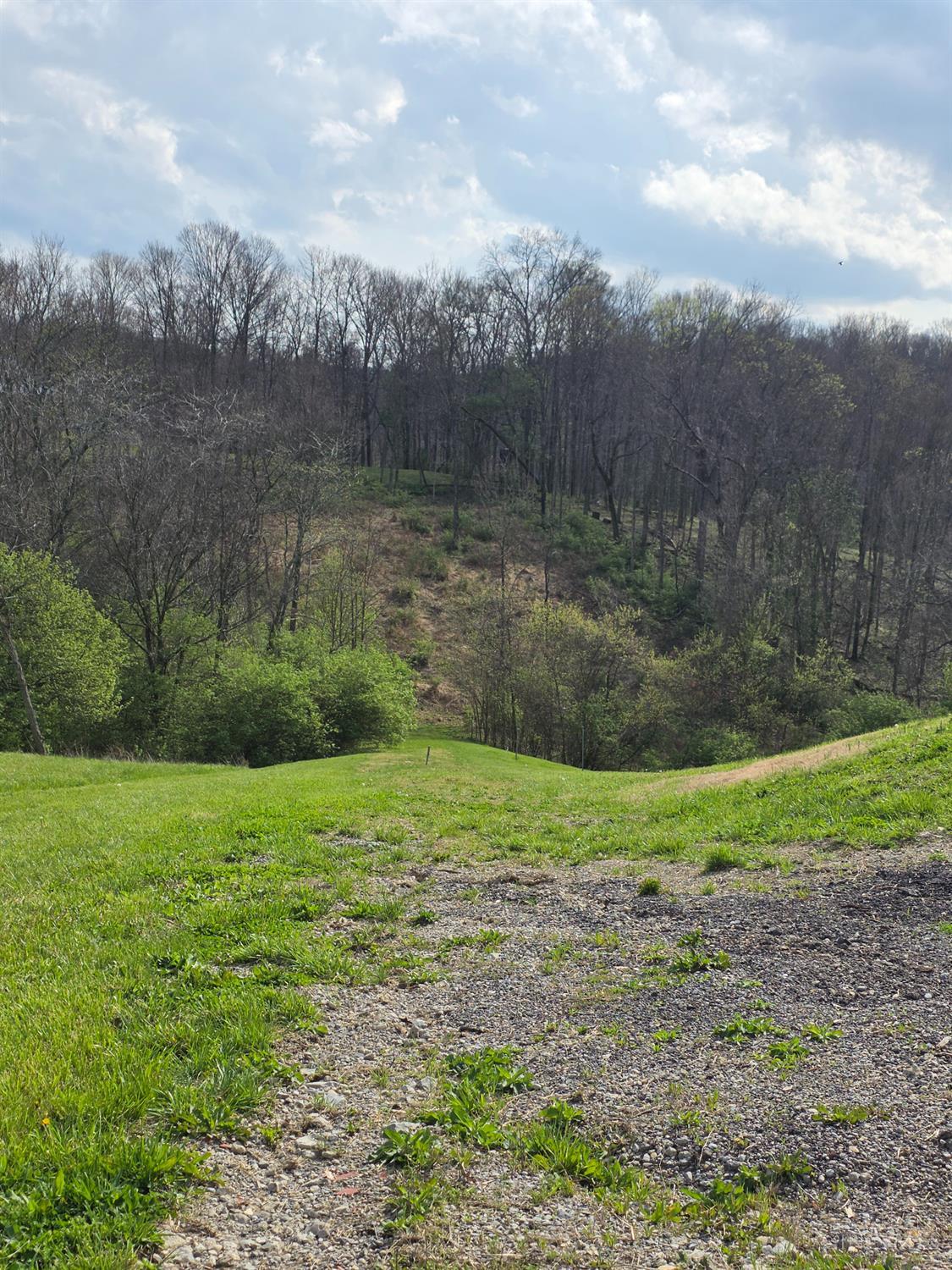11965 Stone Mill Road Cincinnati, OH 45251 - Photo 9 of 9 Gallery Image 9