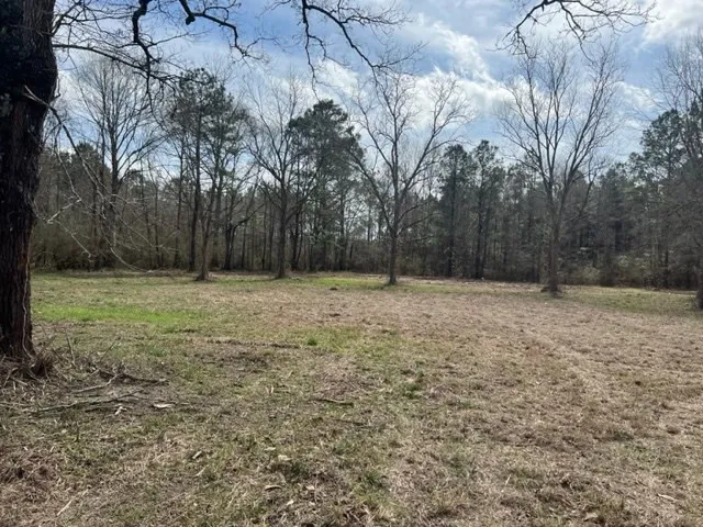 $45,000 | 46390 Highway 10, Franklinton, LA 70438