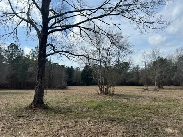 $45,000 | 46390 Highway 10, Franklinton, LA 70438