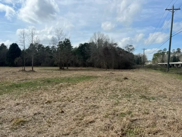 $45,000 | 46390 Highway 10, Franklinton, LA 70438