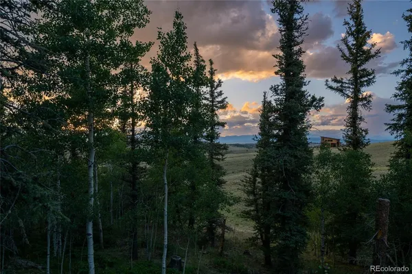 a view of a house with a big yard and large trees
