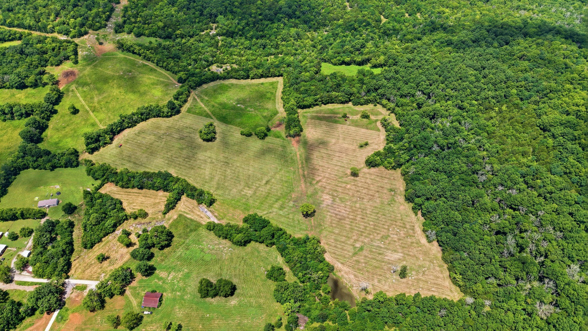 0 Pete Alsup Road Lascassas, TN 37085 - Photo 8 of 32