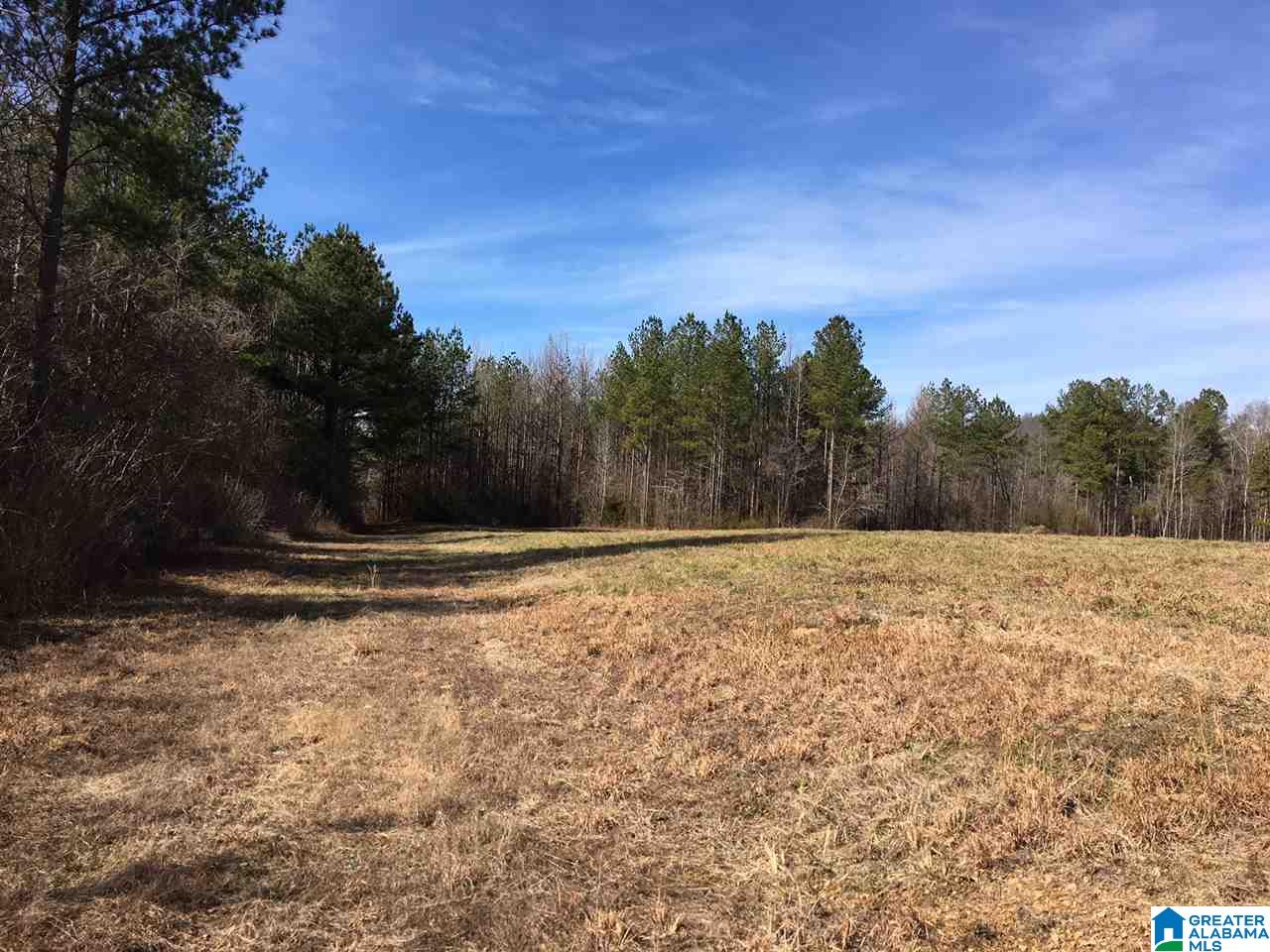 0 Shoal Creek Road, Unit 10 AC Ashville, AL 35953 - Photo 4 of 13