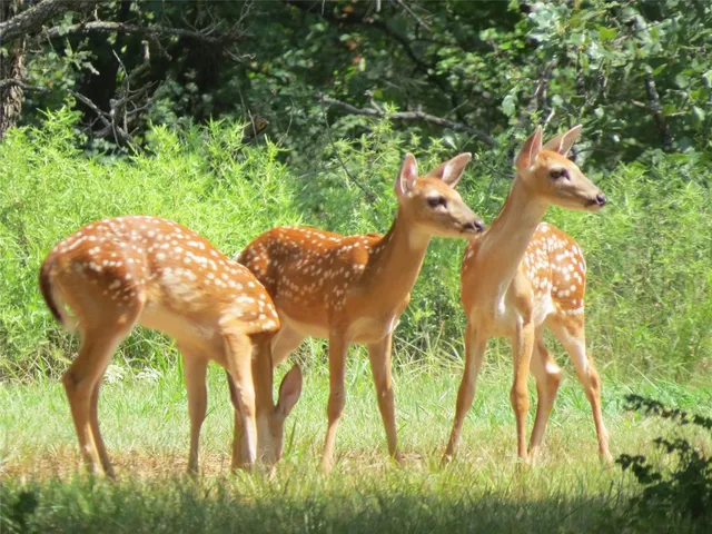a street sign sitting on a wooden floor