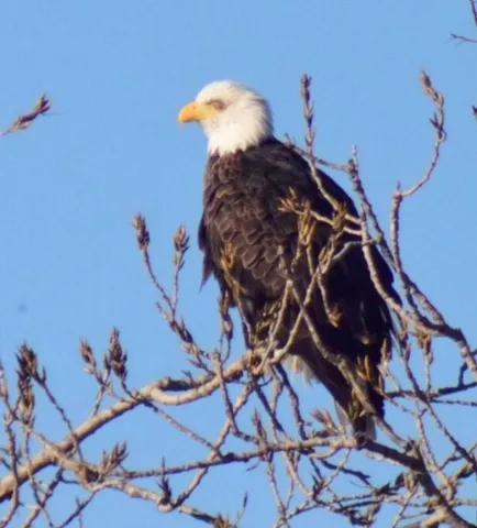 a view of a sign board with a lake view
