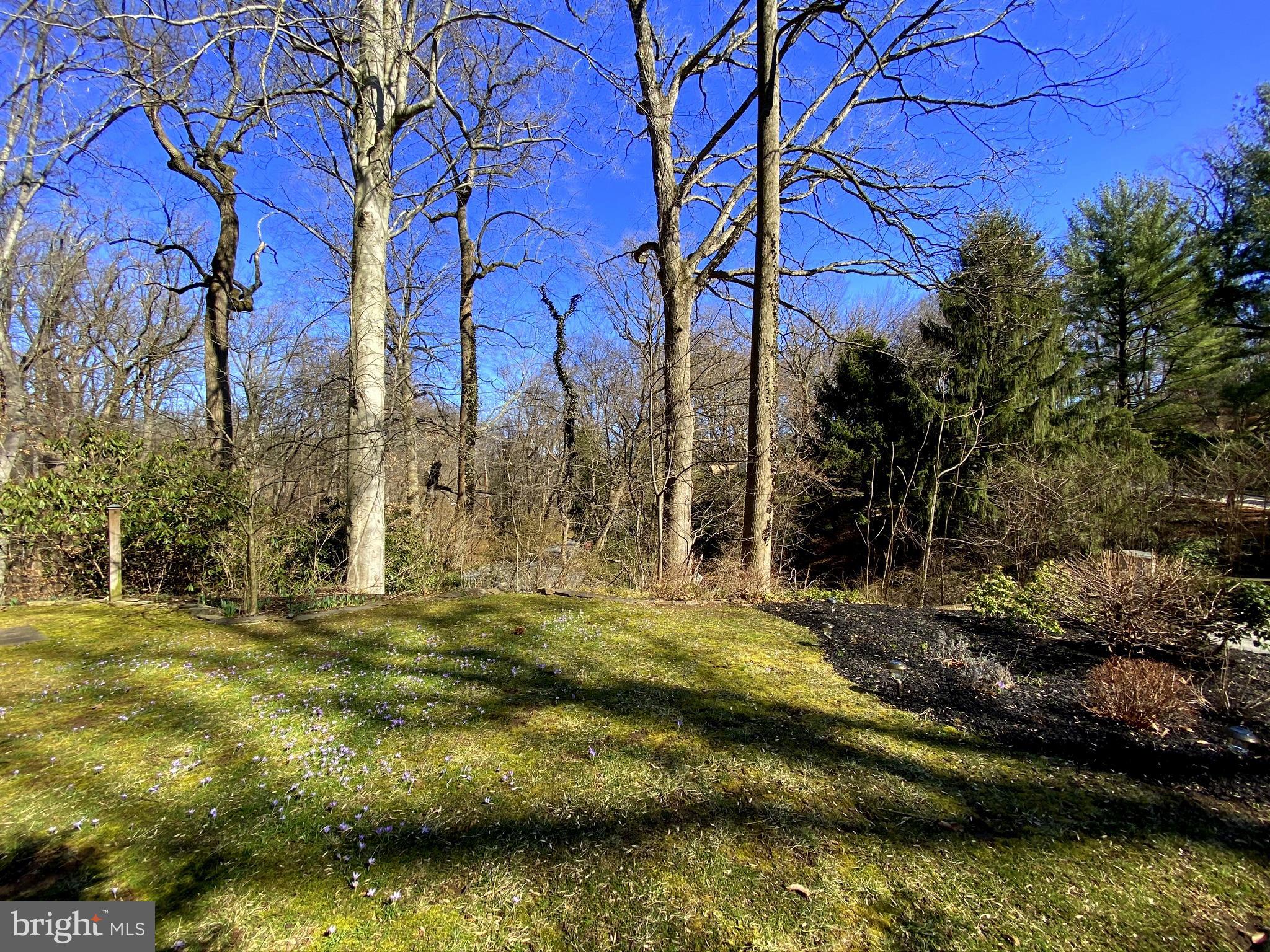 630 Lafayette Road Merion Station, PA 19066 - Photo 25 of 27 View from house