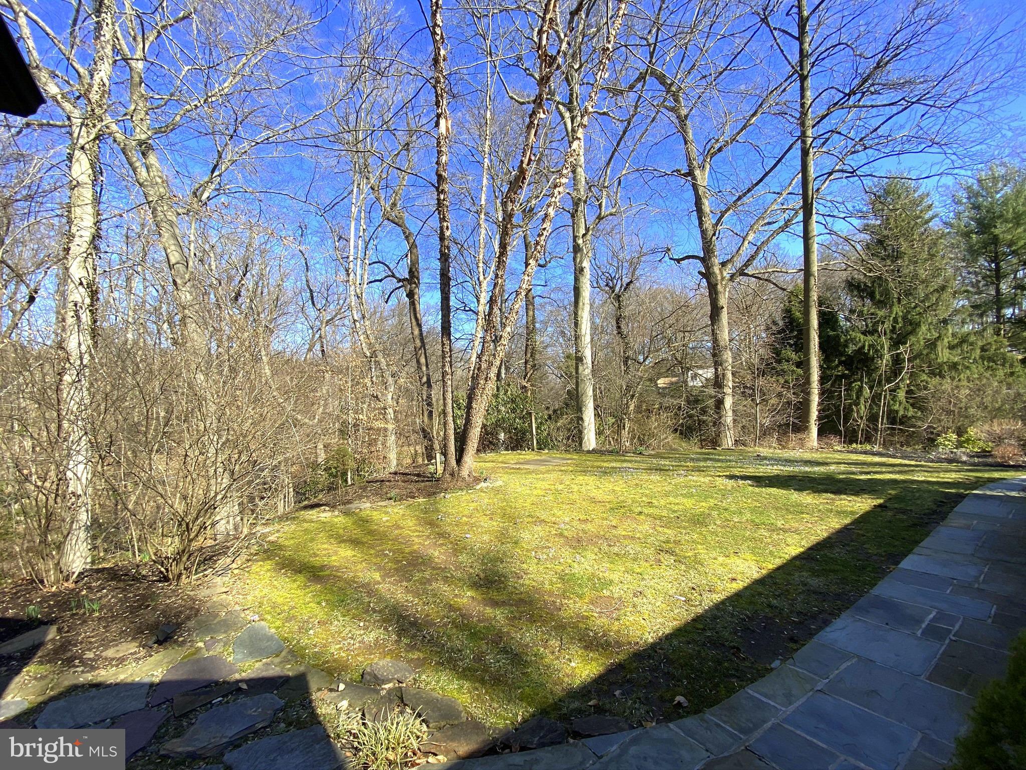 630 Lafayette Road Merion Station, PA 19066 - Photo 26 of 27 Front walkway with treetop views