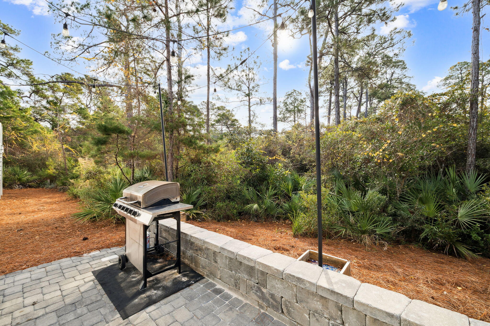 345 Dolphin Drive Santa Rosa Beach, FL 32459 - Photo 60 of 73 345 Dolphin Dr