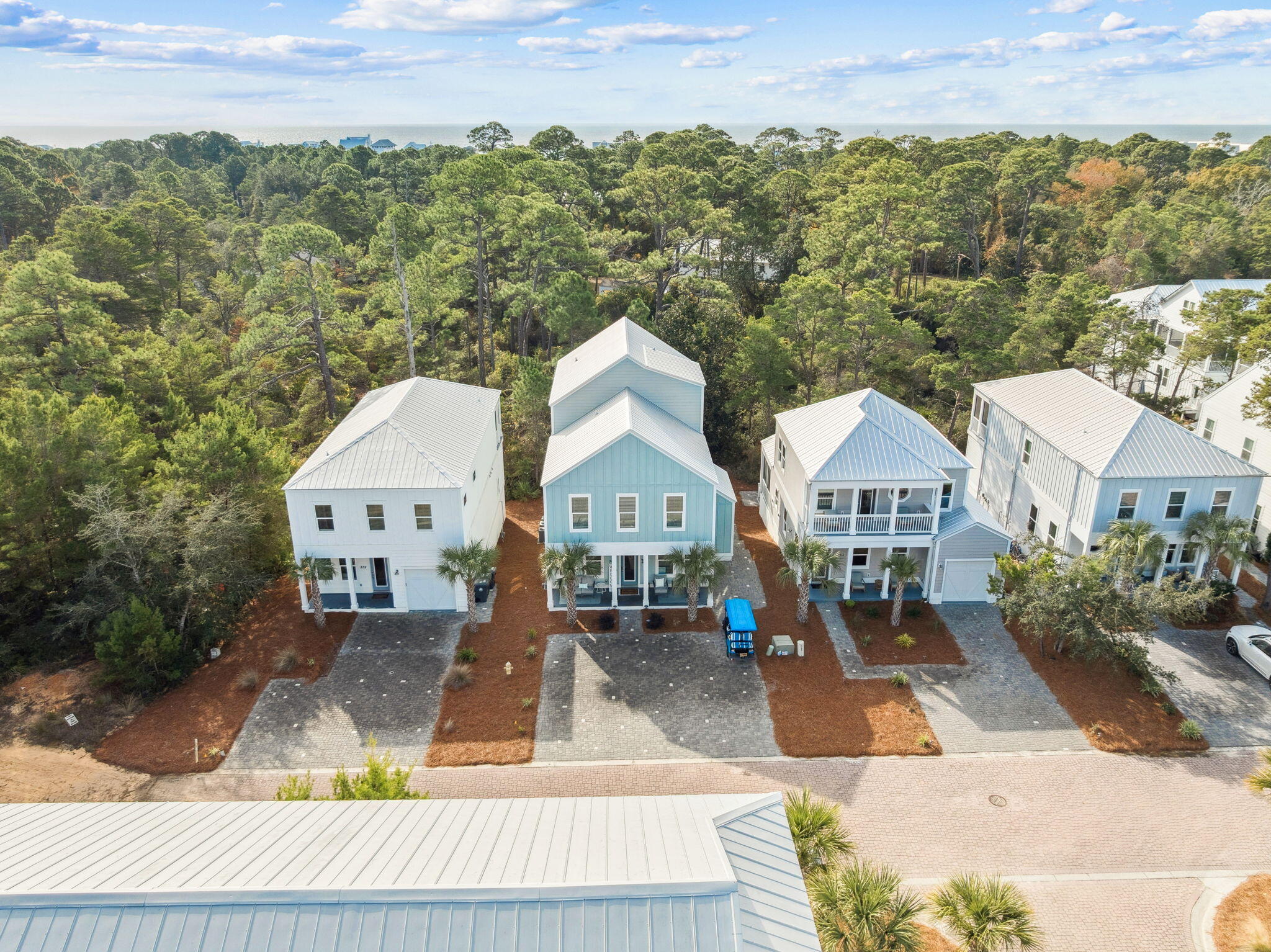 345 Dolphin Drive Santa Rosa Beach, FL 32459 - Photo 66 of 73 an aerial view of a house with a yard