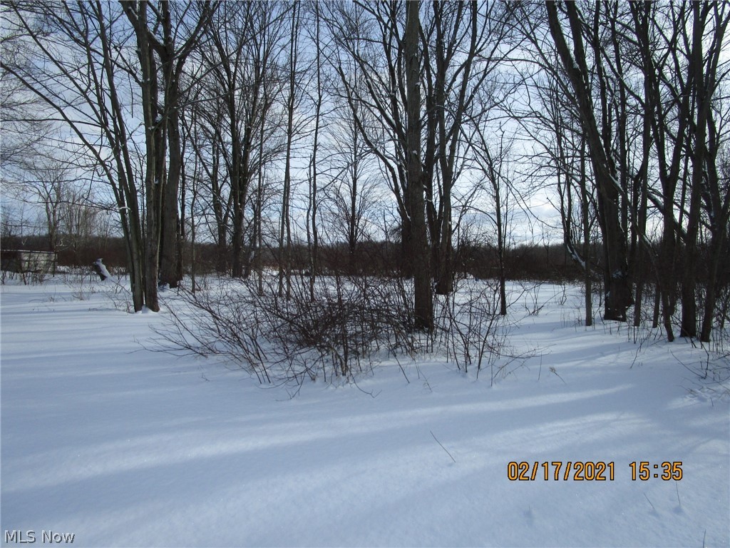 0 Allen-Comp Road Dorset, OH 44032 - Photo 8 of 9 Gallery Image 8