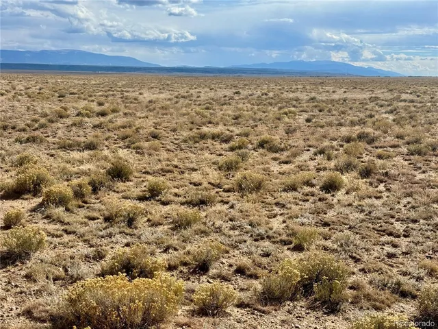 a view of a dry yard