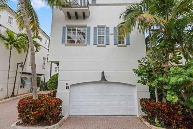 a view of potted plants and palm trees