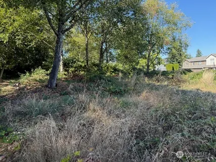 a view of a yard with plants and trees