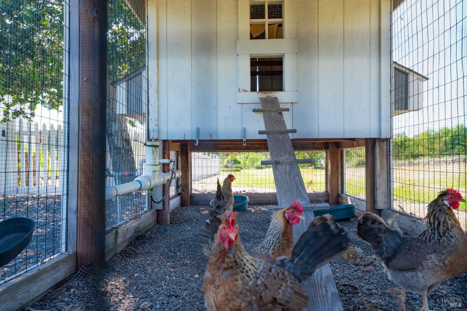 416-418 Royal Meadows Court Santa Rosa, CA 95404 - Photo 34 of 51