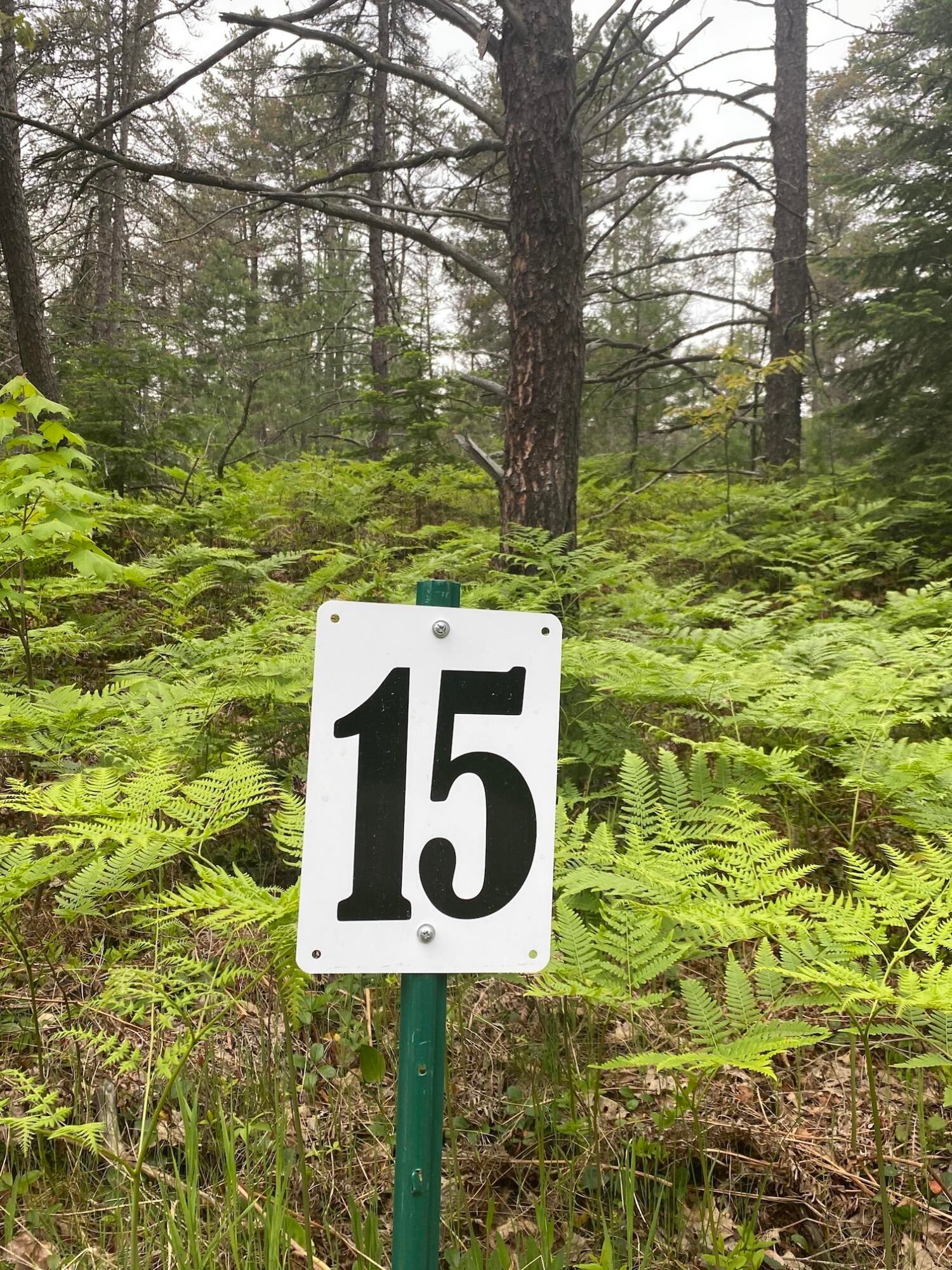 14111 North Whitefish Point Road Paradise, MI 49768 - Photo 2 of 6 Gallery Image 2