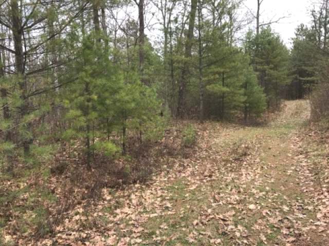 Near Carlson Road Land O'Lakes, WI 54540 - Photo 7 of 8 Gallery Image 7