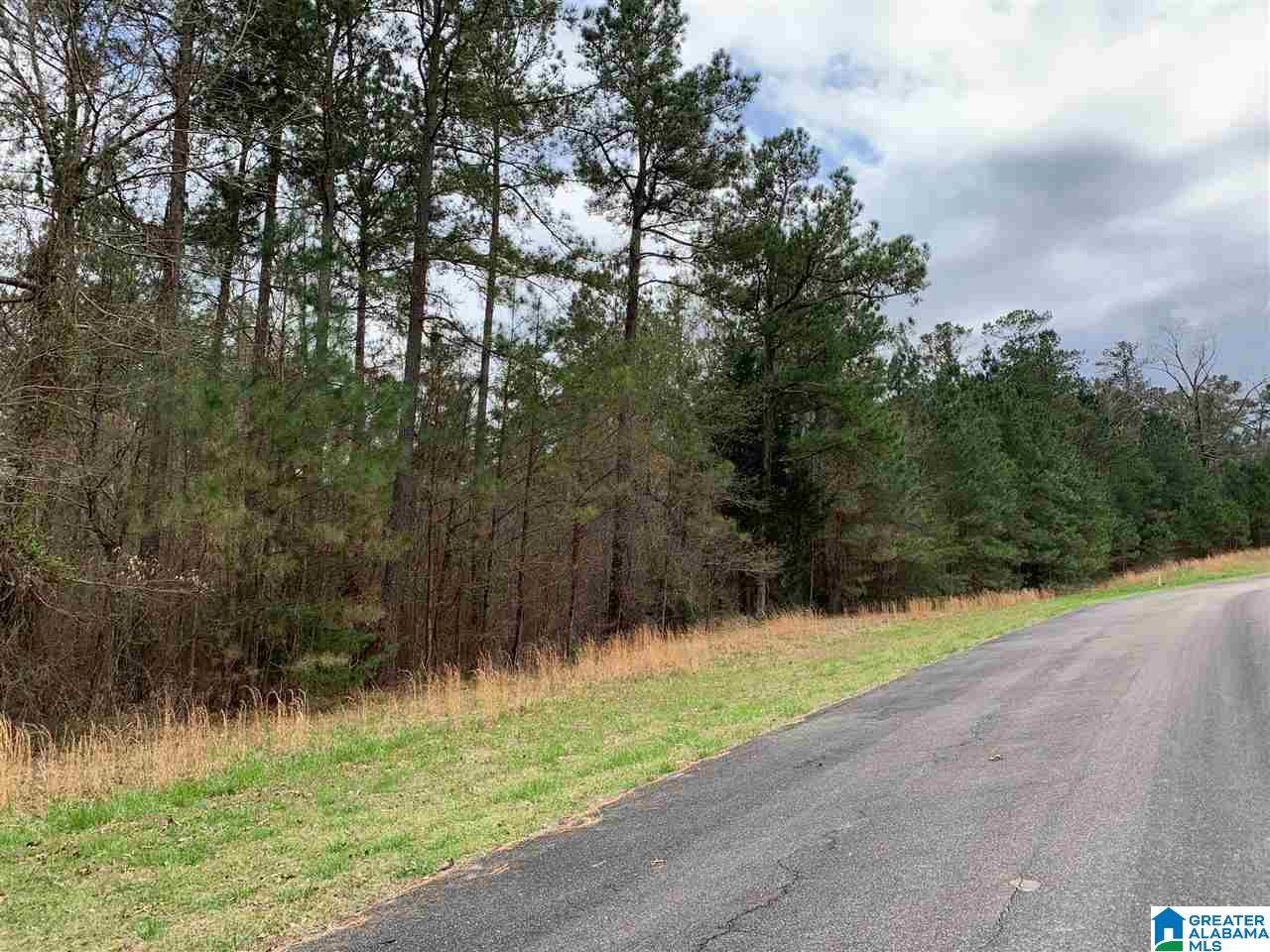 0 Long Point Road, Unit 156/157 Double Springs, AL 35553 - Photo 1 of 6