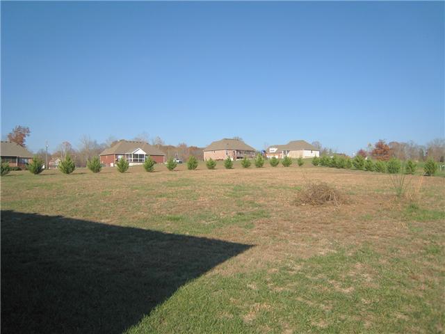 2001 Lasea Way Spring Hill, TN 37174 - Photo 17 of 20 View of Back Yard from the house, lived with mature cypress trees.