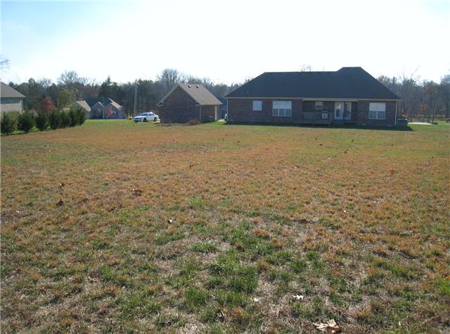 2001 Lasea Way Spring Hill, TN 37174 - Photo 18 of 20 Entire lot has Invisible Fencing.