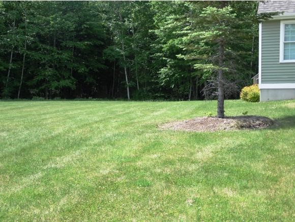 49 Risloves Way, Unit 502 Fremont, NH 03044 - Photo 18 of 20