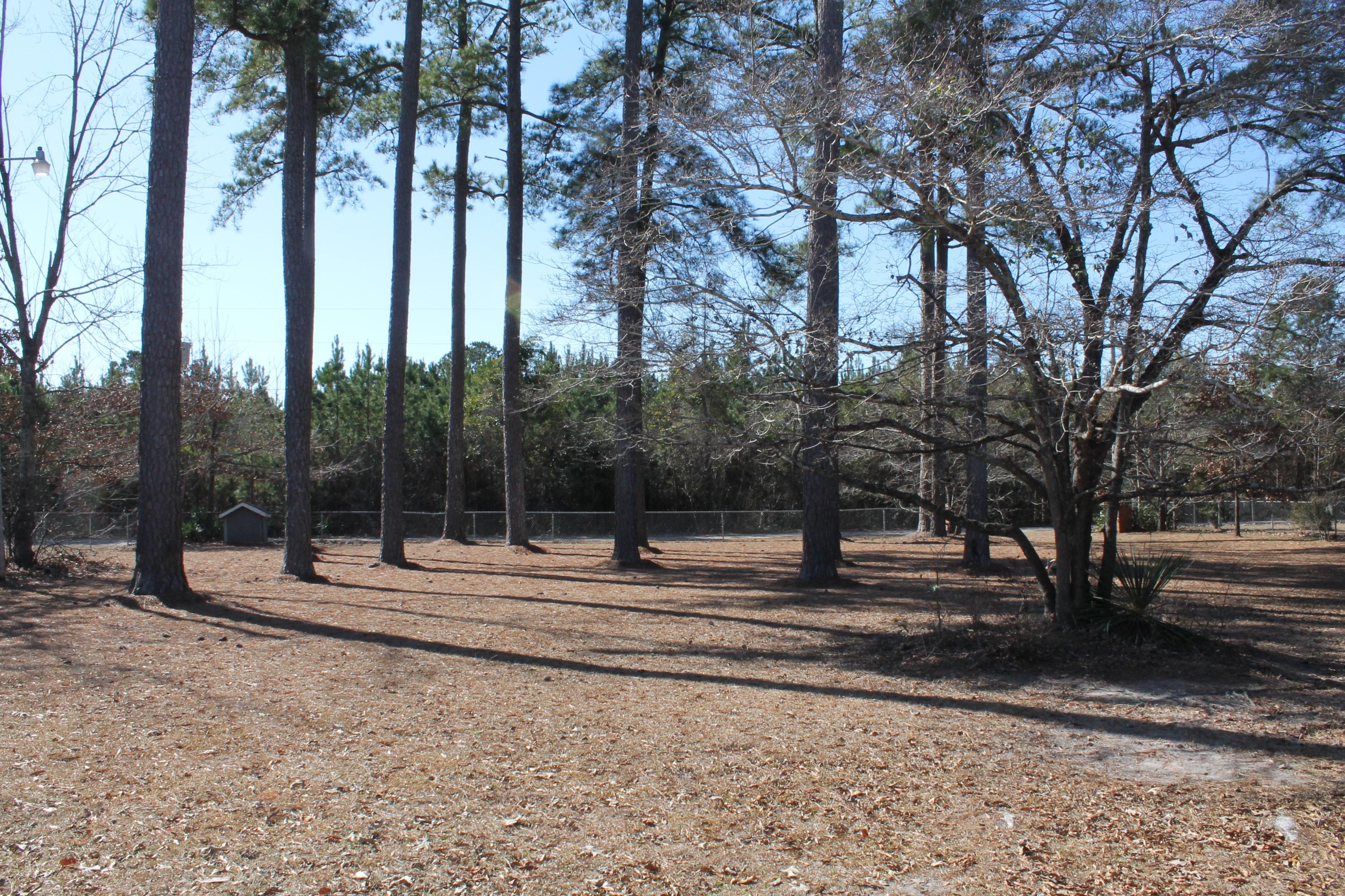 1974 James Loop Road Manning, SC 29102 - Photo 15 of 16 IMG_6955