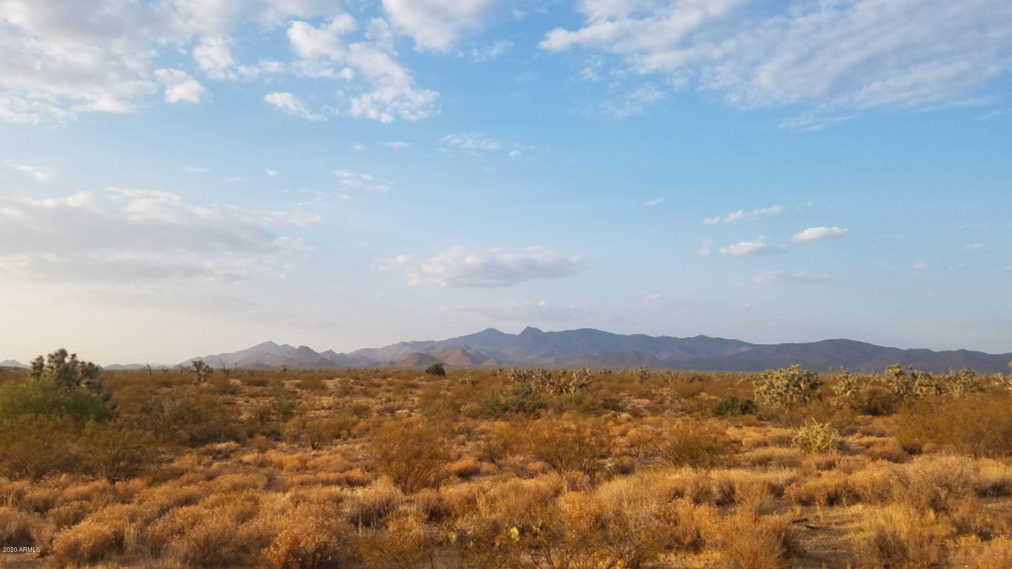 Lot 290 South Rawhide Road, Unit 290 Yucca, AZ 86438 - Photo 2 of 48 01