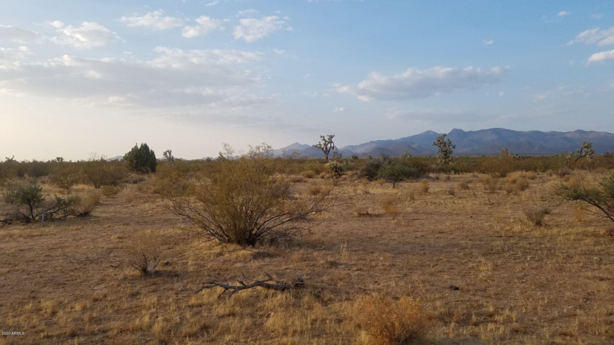 Lot 290 South Rawhide Road, Unit 290 Yucca, AZ 86438 - Photo 22 of 48 IMG_20200918_32861