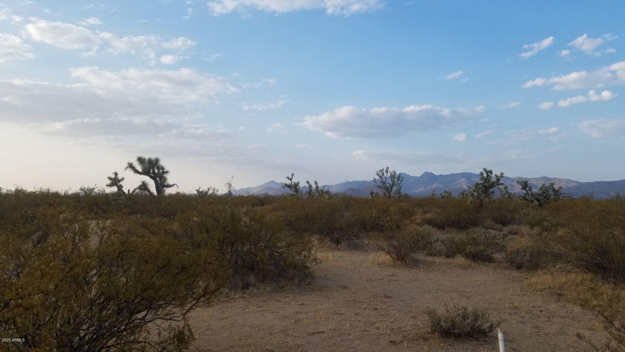 Lot 290 South Rawhide Road, Unit 290 Yucca, AZ 86438 - Photo 23 of 48 IMG_20200918_33143