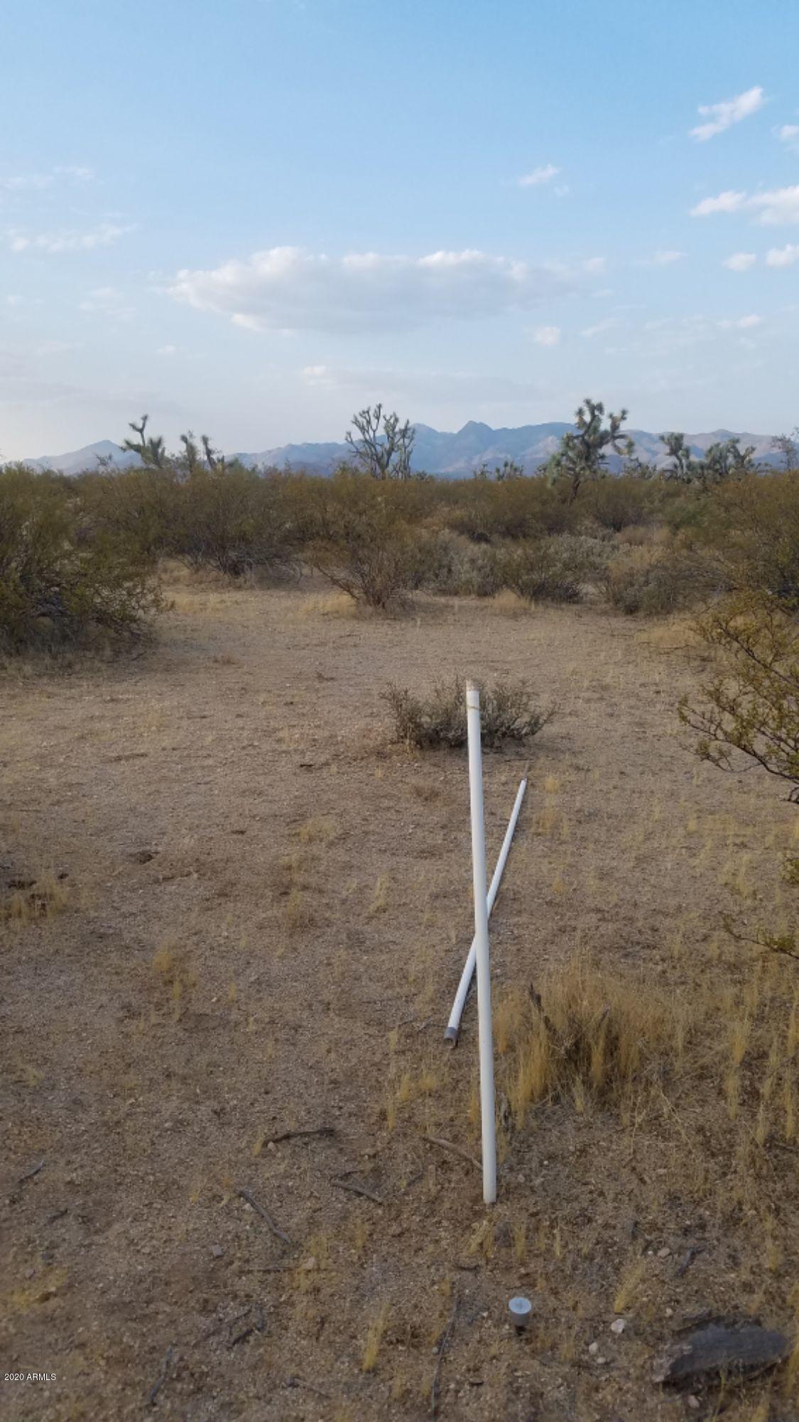 Lot 290 South Rawhide Road, Unit 290 Yucca, AZ 86438 - Photo 25 of 48 IMG_20200918_33984