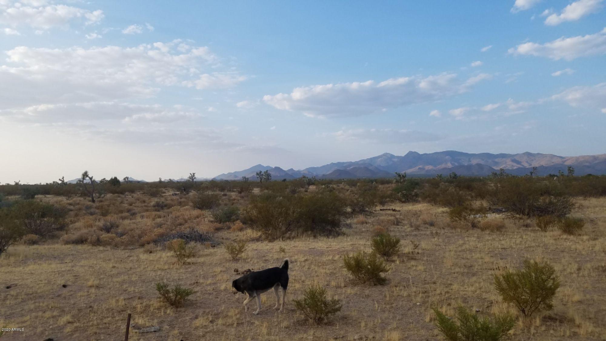 Lot 290 South Rawhide Road, Unit 290 Yucca, AZ 86438 - Photo 28 of 48 IMG_20200918_35989