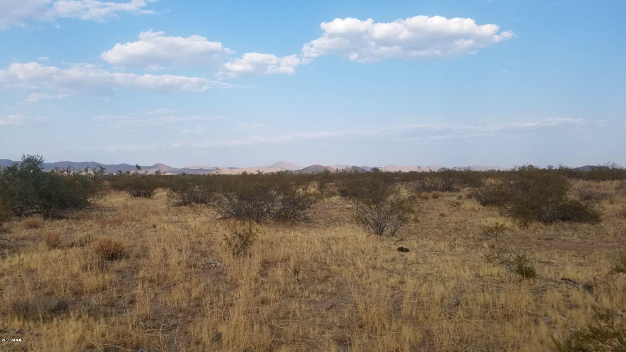 Lot 290 South Rawhide Road, Unit 290 Yucca, AZ 86438 - Photo 3 of 48 02