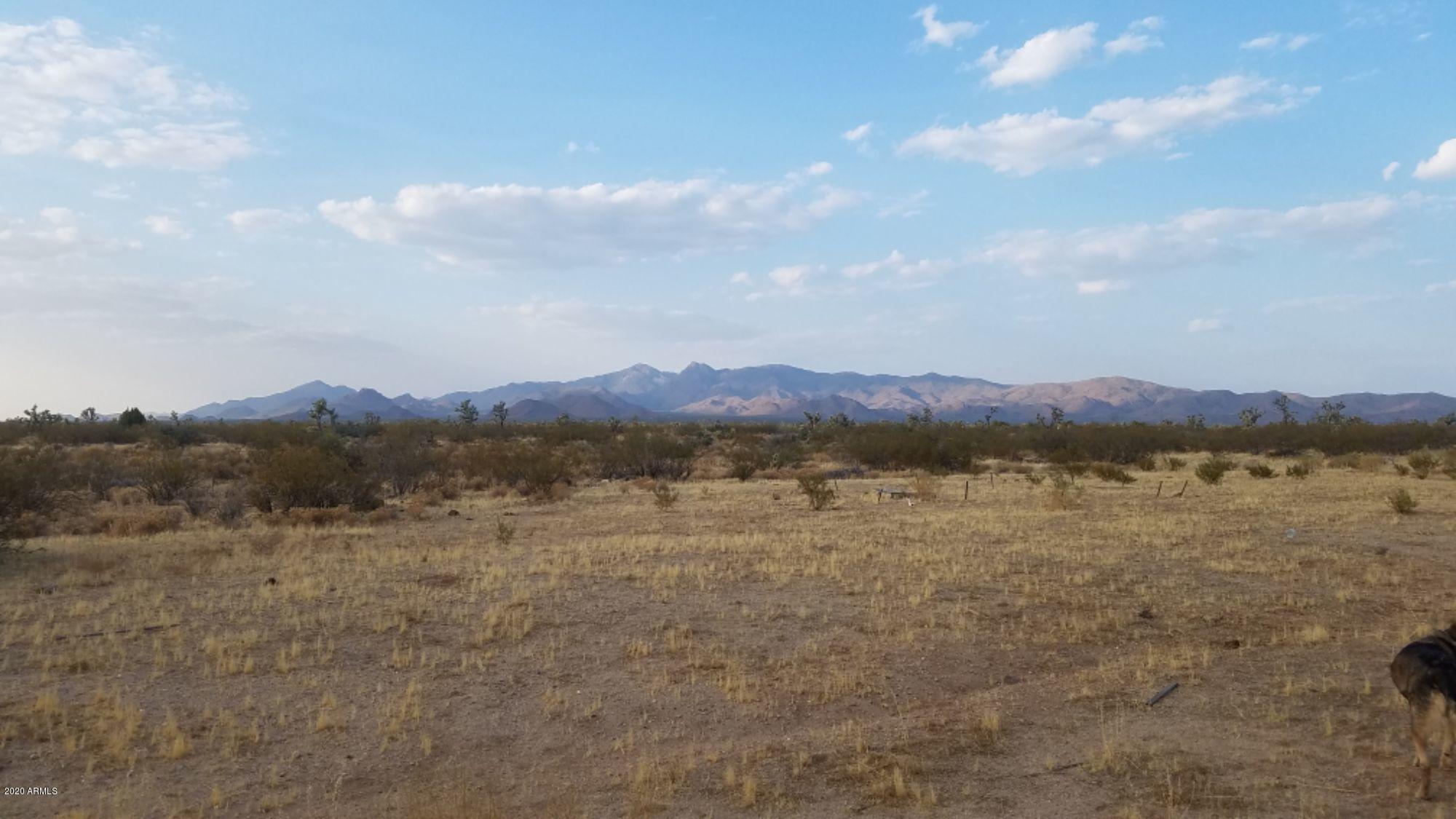 Lot 290 South Rawhide Road, Unit 290 Yucca, AZ 86438 - Photo 31 of 48 IMG_20200918_37999