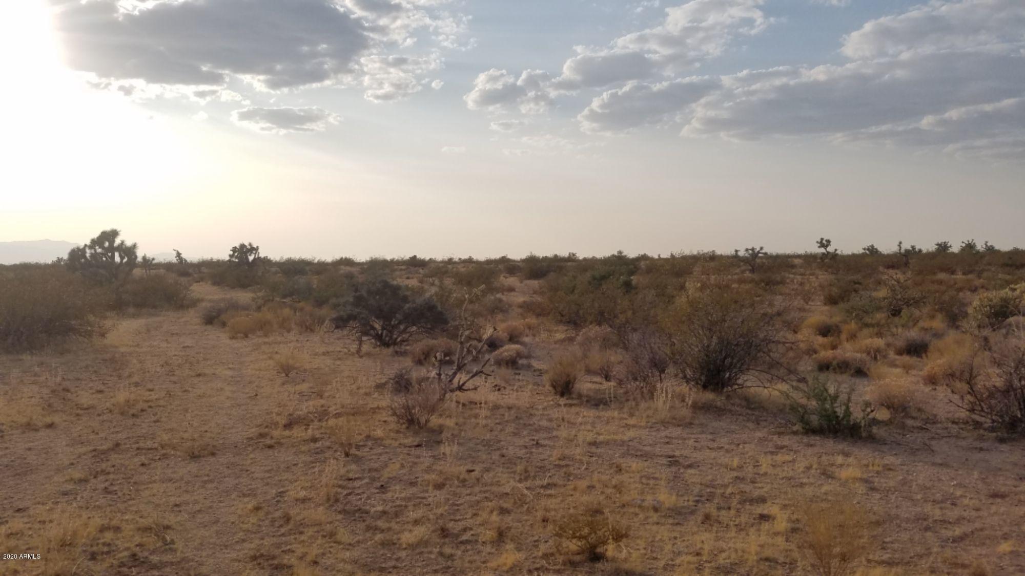 Lot 290 South Rawhide Road, Unit 290 Yucca, AZ 86438 - Photo 33 of 48 IMG_20200918_38904