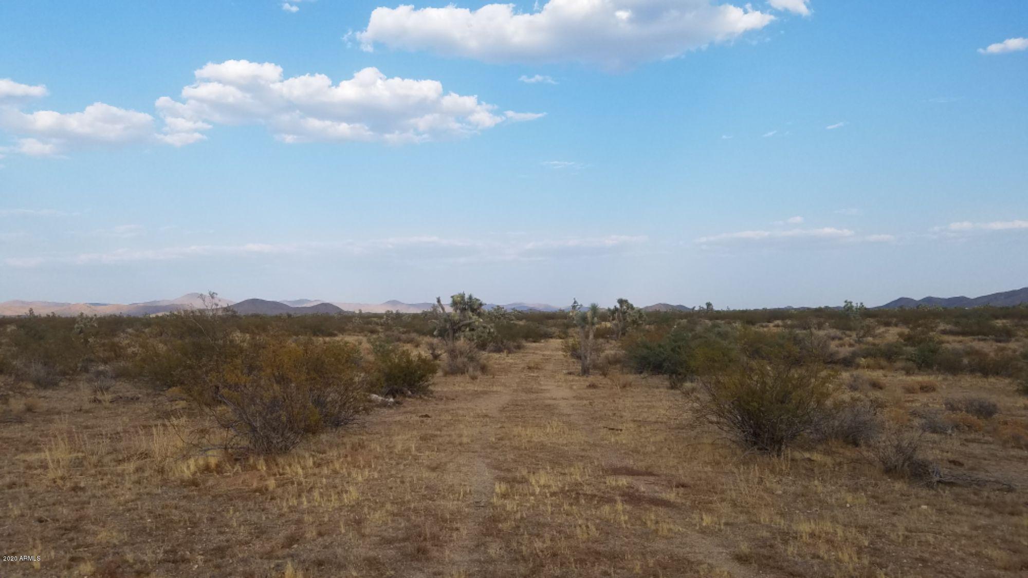 Lot 290 South Rawhide Road, Unit 290 Yucca, AZ 86438 - Photo 35 of 48 IMG_20200918_40499