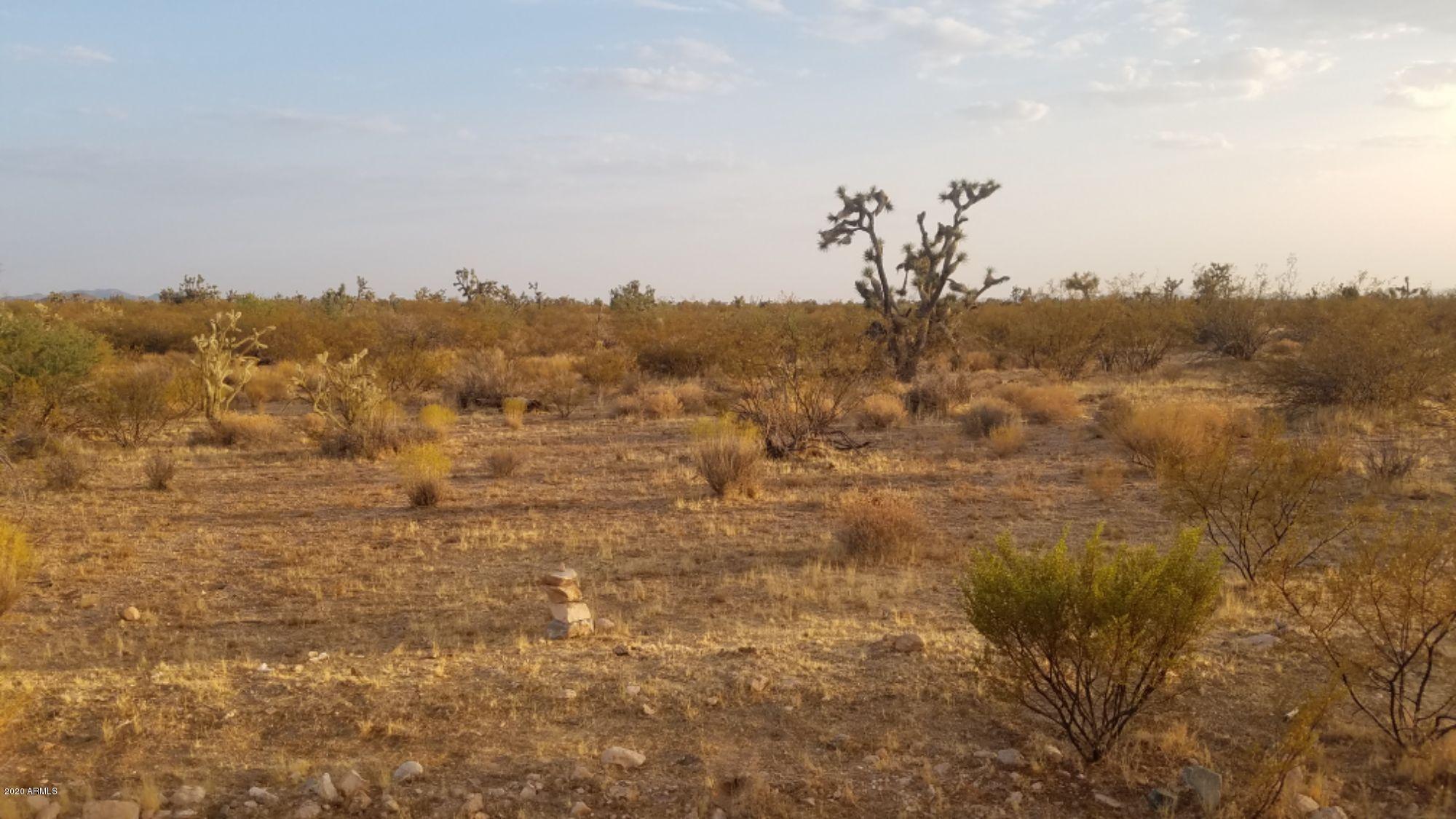 Lot 290 South Rawhide Road, Unit 290 Yucca, AZ 86438 - Photo 4 of 48 03