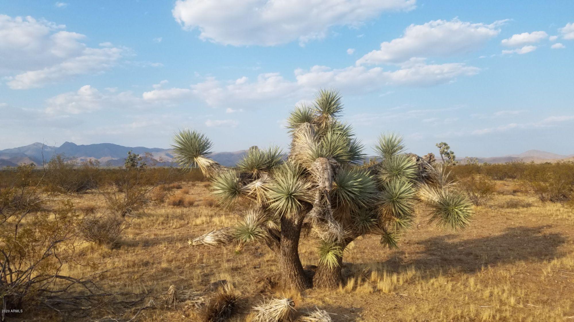 Lot 290 South Rawhide Road, Unit 290 Yucca, AZ 86438 - Photo 41 of 48 IMG_20200918_45597