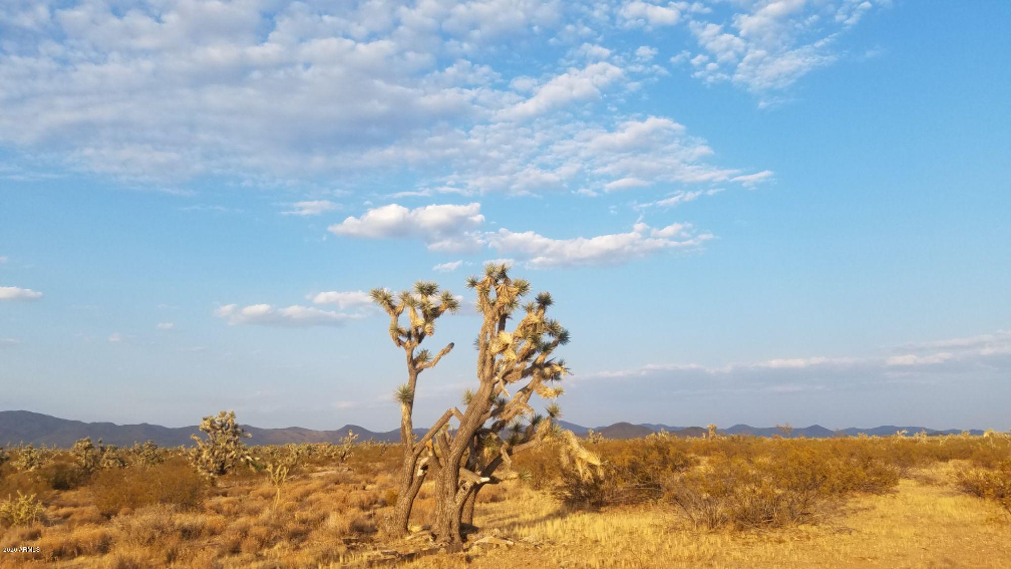 Lot 290 South Rawhide Road, Unit 290 Yucca, AZ 86438 - Photo 5 of 48 04