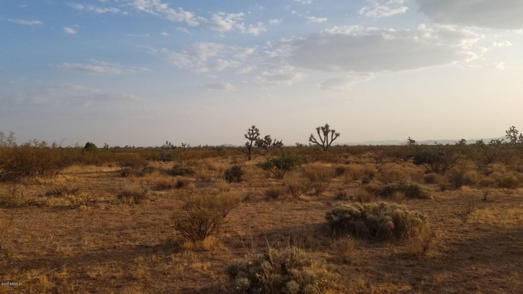 Lot 290 South Rawhide Road, Unit 290 Yucca, AZ 86438 - Photo 6 of 48 05
