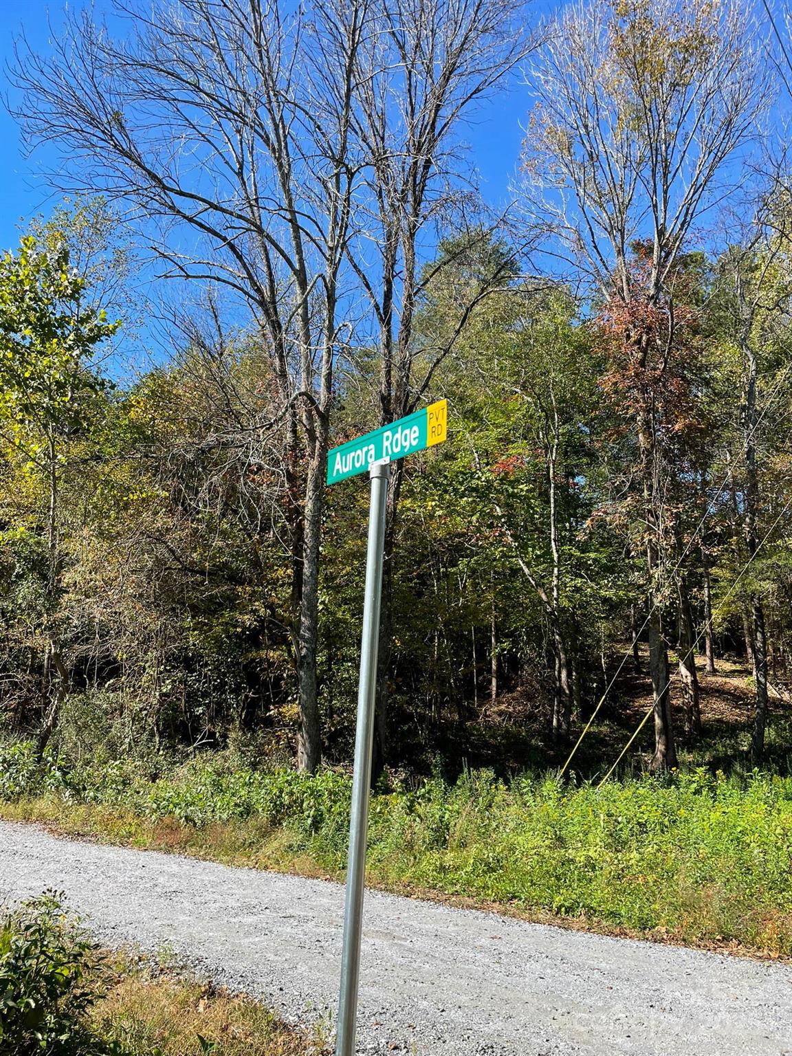 Lot 1 Aurora Ridge, Unit 1 Bostic, NC 28018 - Photo 10 of 11