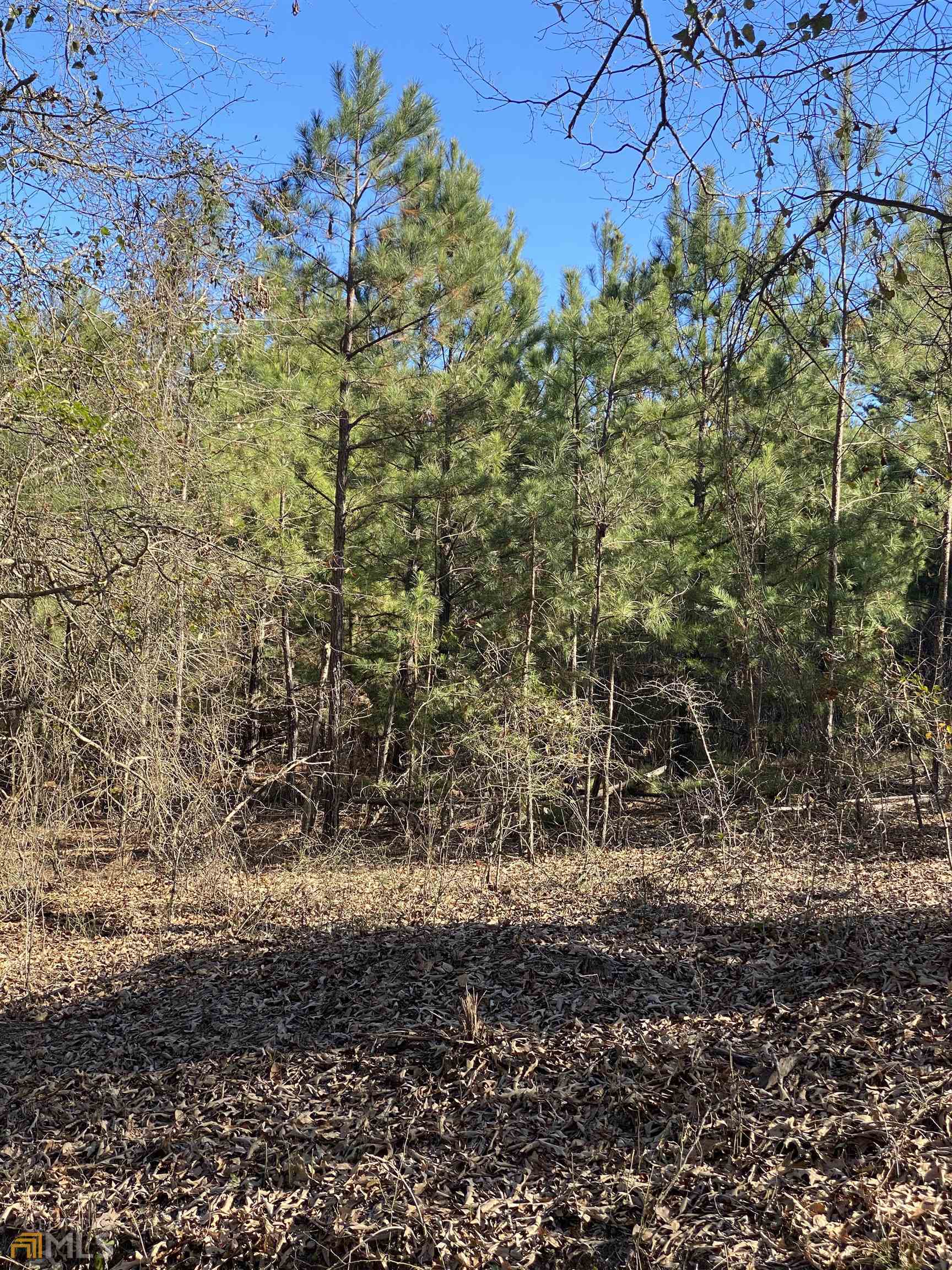 Tract D/e County Line Road Haddock, GA 31033 - Photo 1 of 1