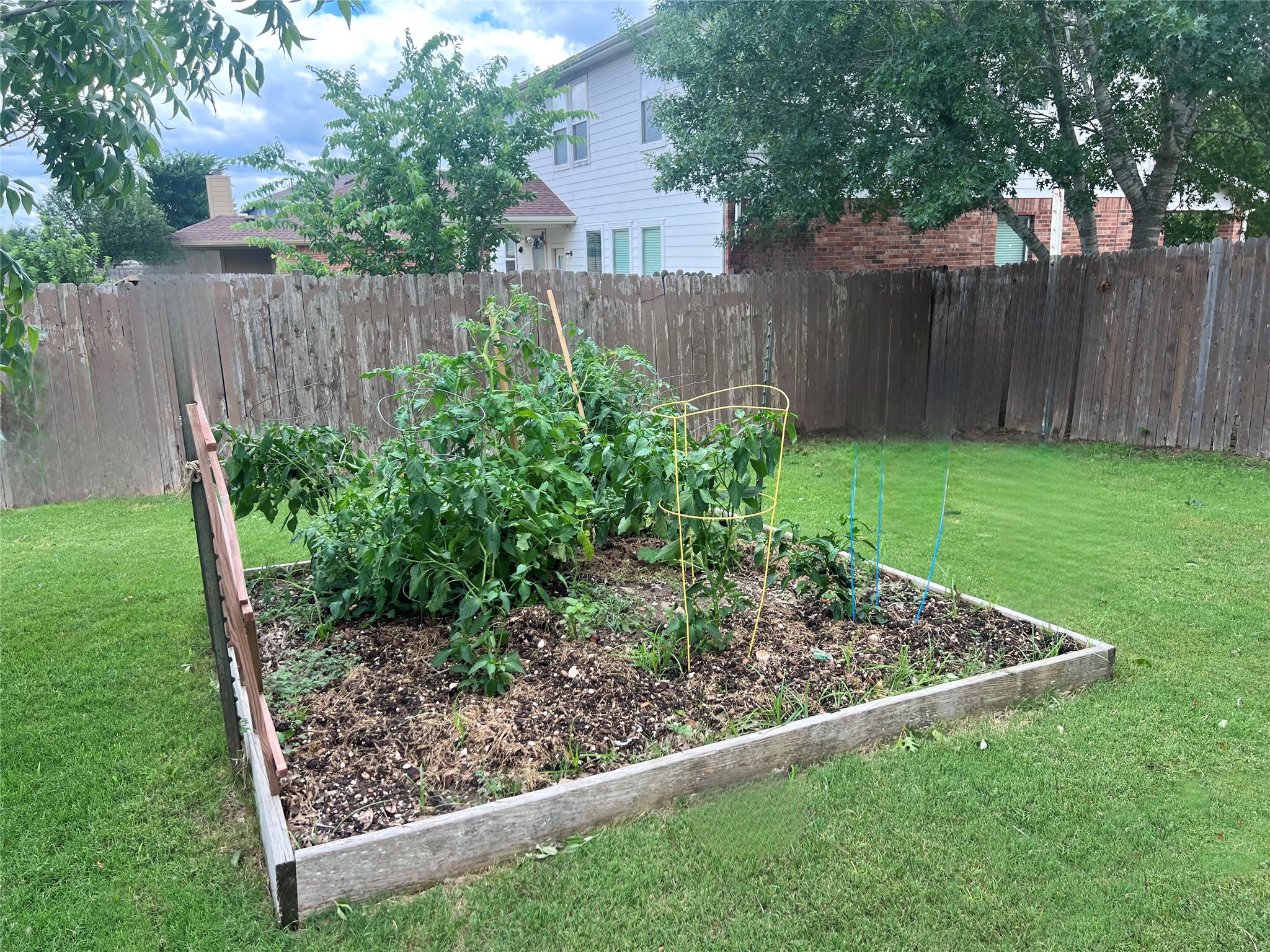 17705 Mahonia Lane Elgin, TX 78621 - Photo 32 of 37 Summer garden in backyard! Already has plenty of veggies!