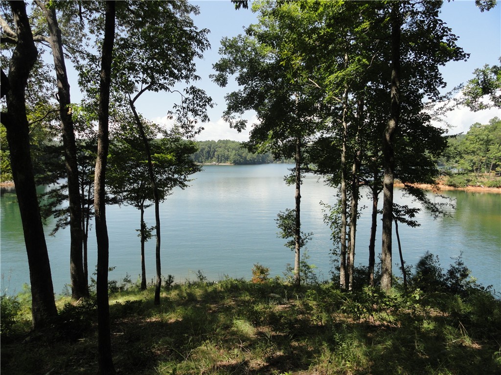 719 Top Ridge Drive Sunset, SC 29685 - Photo 1 of 9